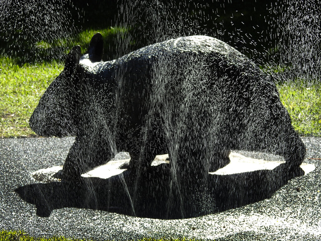 Water - Wombat  by jeneurell