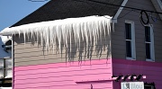 5th Feb 2011 - Icicles