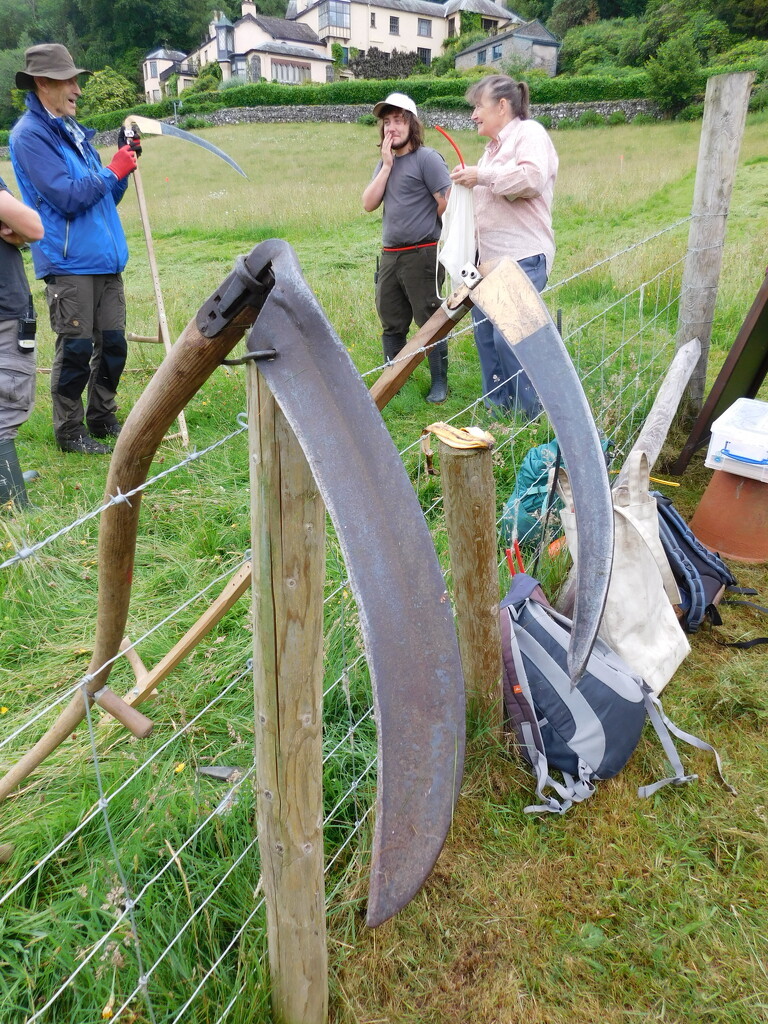 scythe blades by anniesue