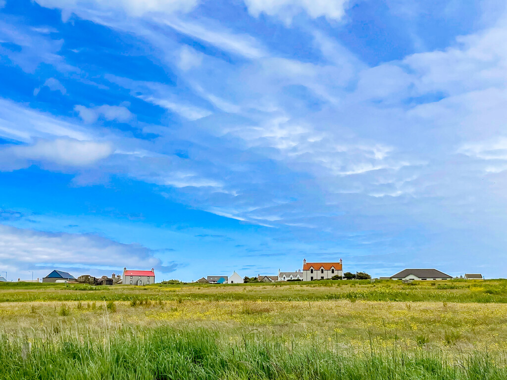 Across the Fields by lifeat60degrees