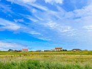 25th Jun 2025 - Across the Fields