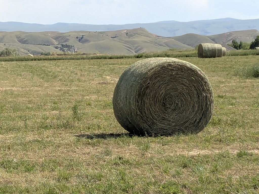 East Sunnyside Hay by wakuwaku