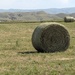 East Sunnyside Hay