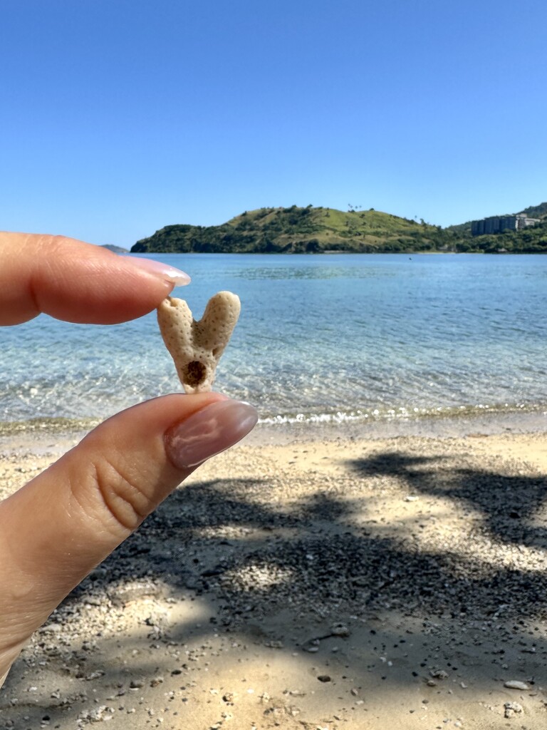 Heart coral on Kukusa Island.  by cocobella