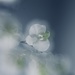 Fading 