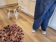 27th Jun 2025 - Mama, Please Drop Something While You&#039;re Cooking
