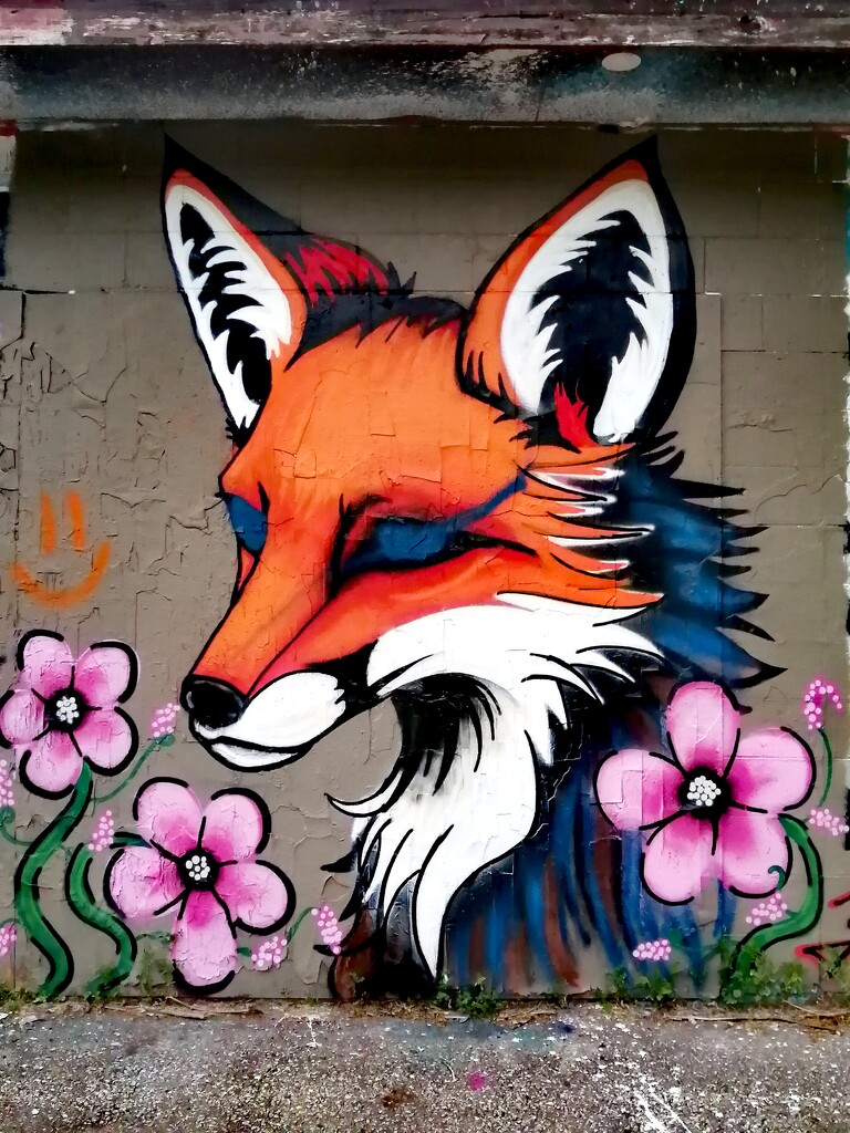 Skate Park Fox by princessicajessica