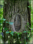 26th Jun 2025 - Mirror Mirror