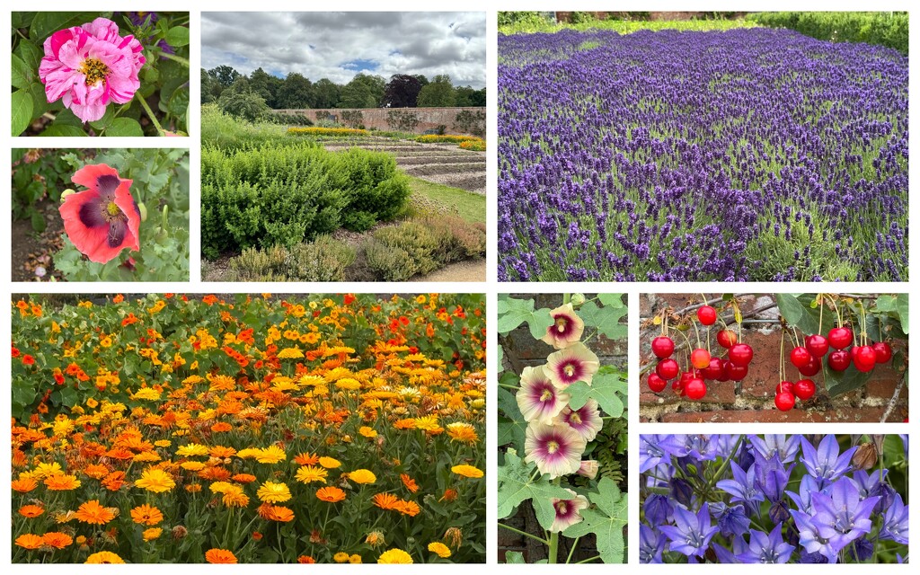 The Walled Garden at Attingham by susiemc