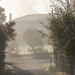 Foggy