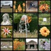 Houghton Hall 