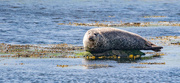 29th Jun 2025 - Taking it Easy
