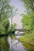 9th Jun 2025 - Bridge Reflection and Odd Angles  