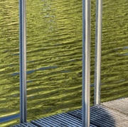 29th Jun 2025 - Summer swim