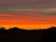 29th Jun 2025 - Sky’s on fire!  