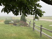 30th Jun 2025 - Another foggy morning.