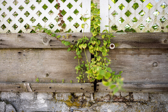 Details by kellyanngray