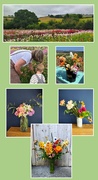 30th Jun 2025 - From Farm to Flower Arrangements 