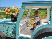 30th Jun 2025 - Trainee Tractor Driver