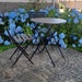 Blue Serenity