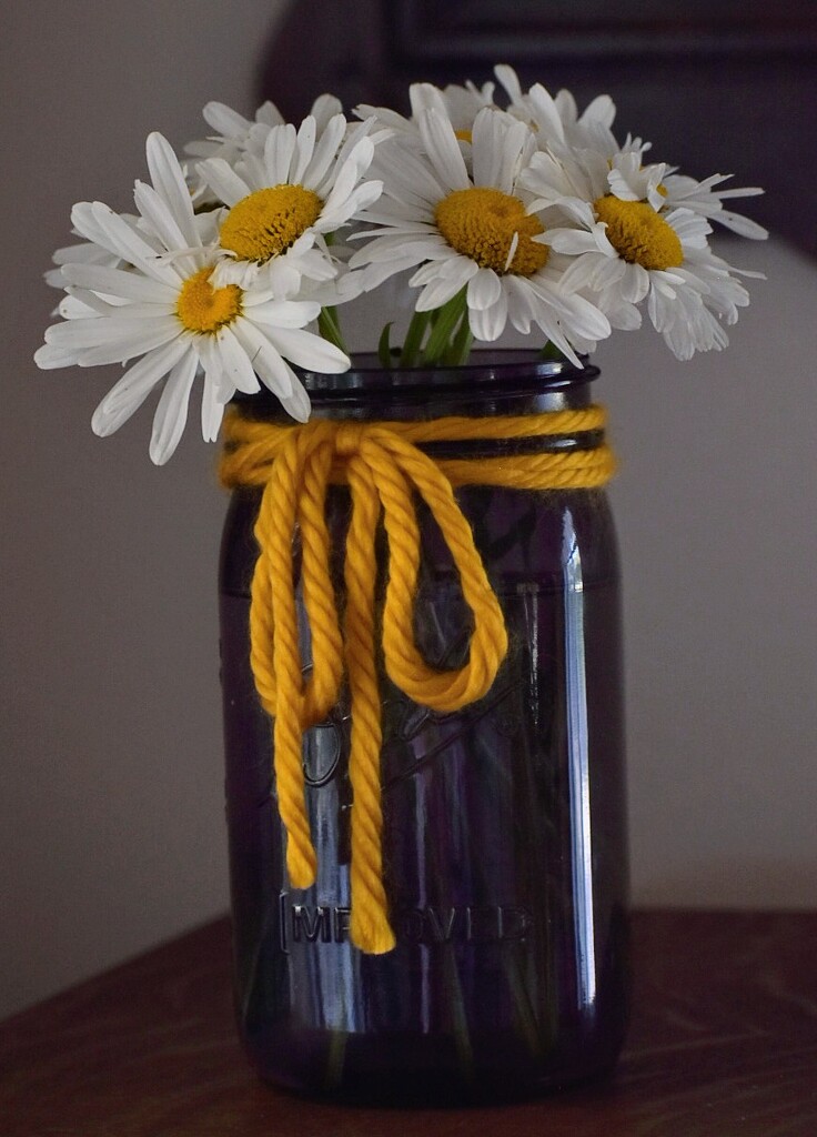 Daisy Bouquet by bjywamer
