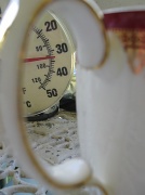 6th Feb 2011 - Tea at this temperature?