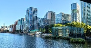 30th Jun 2025 - Docklands green 