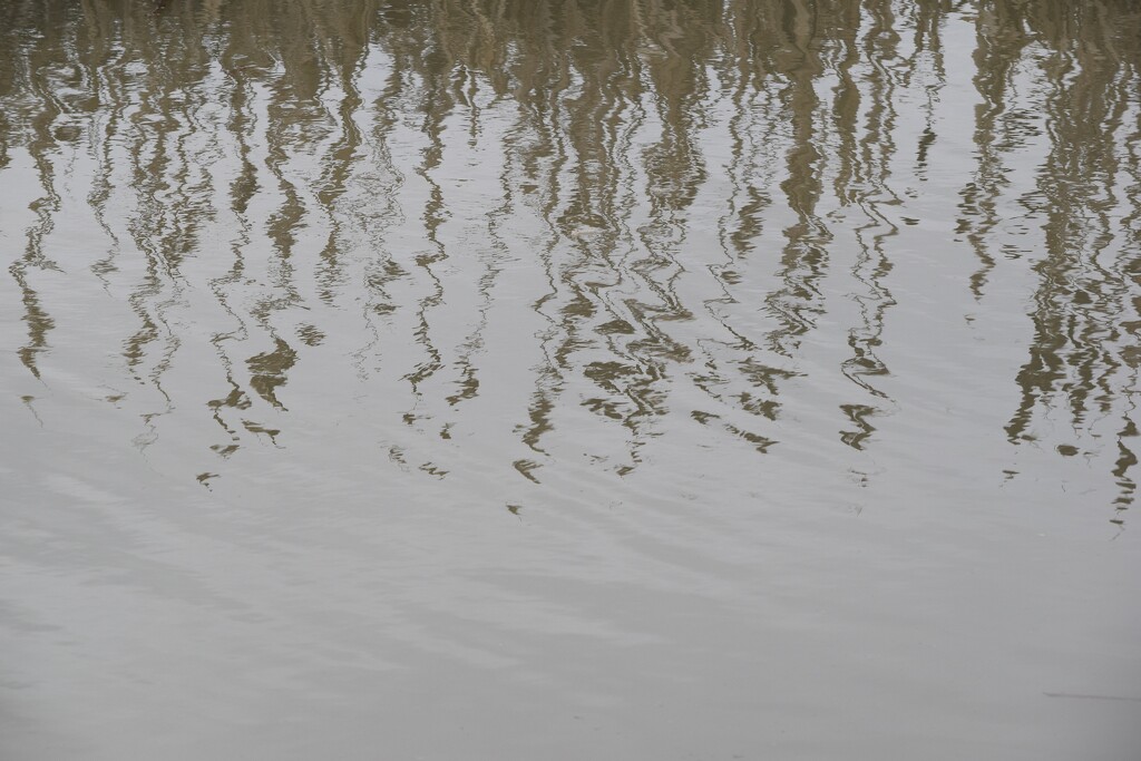 Ripples 30 by dragey74