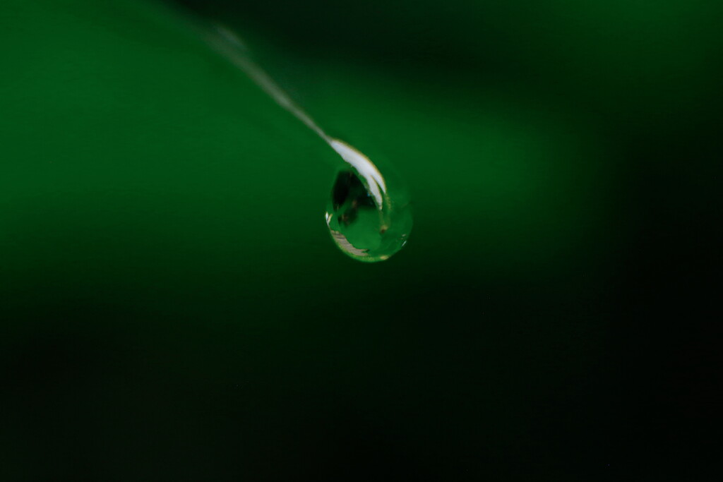 Raindrop mirror  by mamaholl