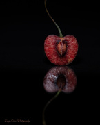 1st Jul 2025 - Day182