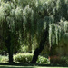 Le Clos Luce garden