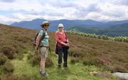 2nd Jul 2025 - Monday Walkers