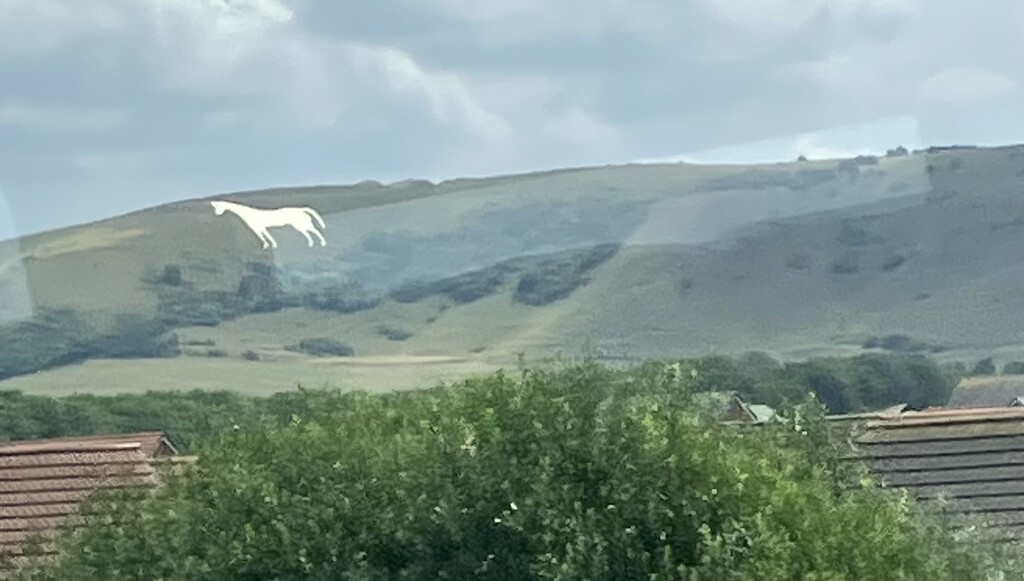 White Horse (poor quality) by g3xbm