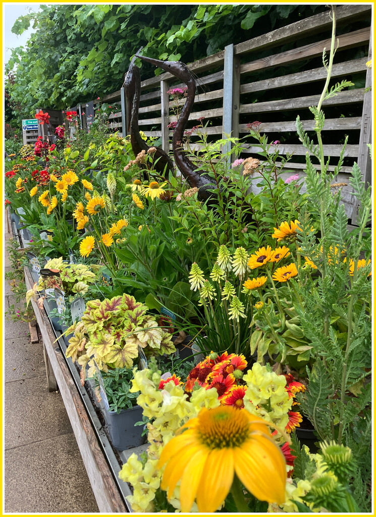 Garden Centre Anglesey Abbey  by foxes37