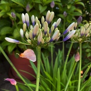 2nd Jul 2025 - 'twister'