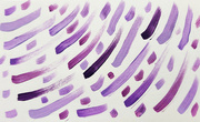 2nd Jul 2025 - July 2