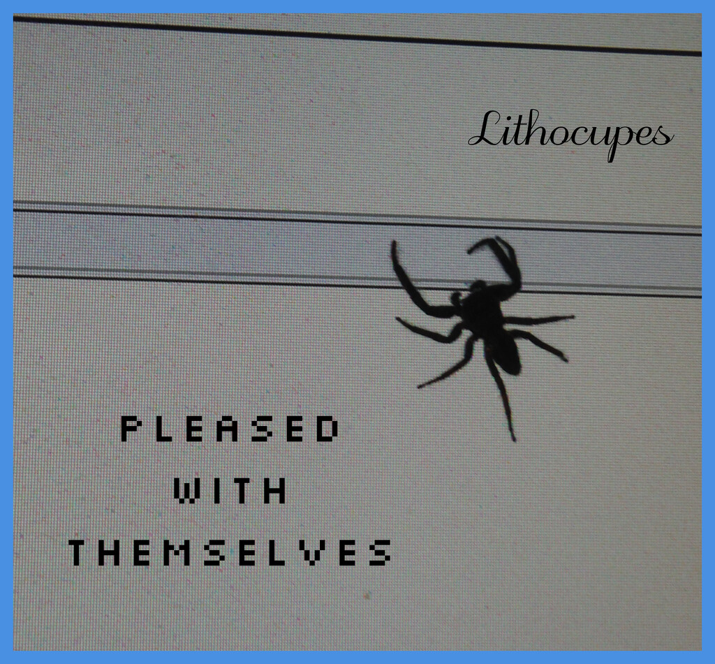 Pleased with Themselves by spanishliz