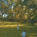 Sunny day