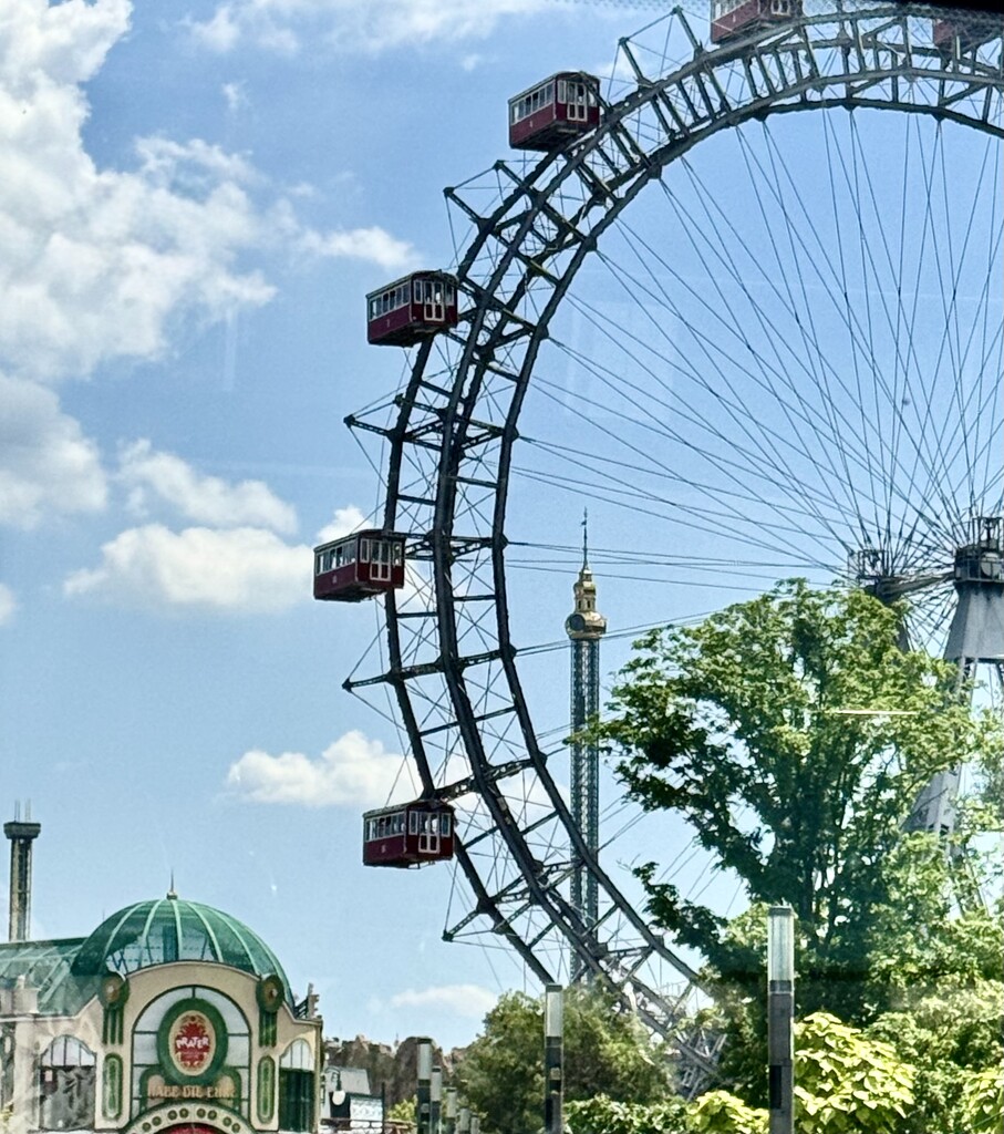 Big wheel.  by cocobella
