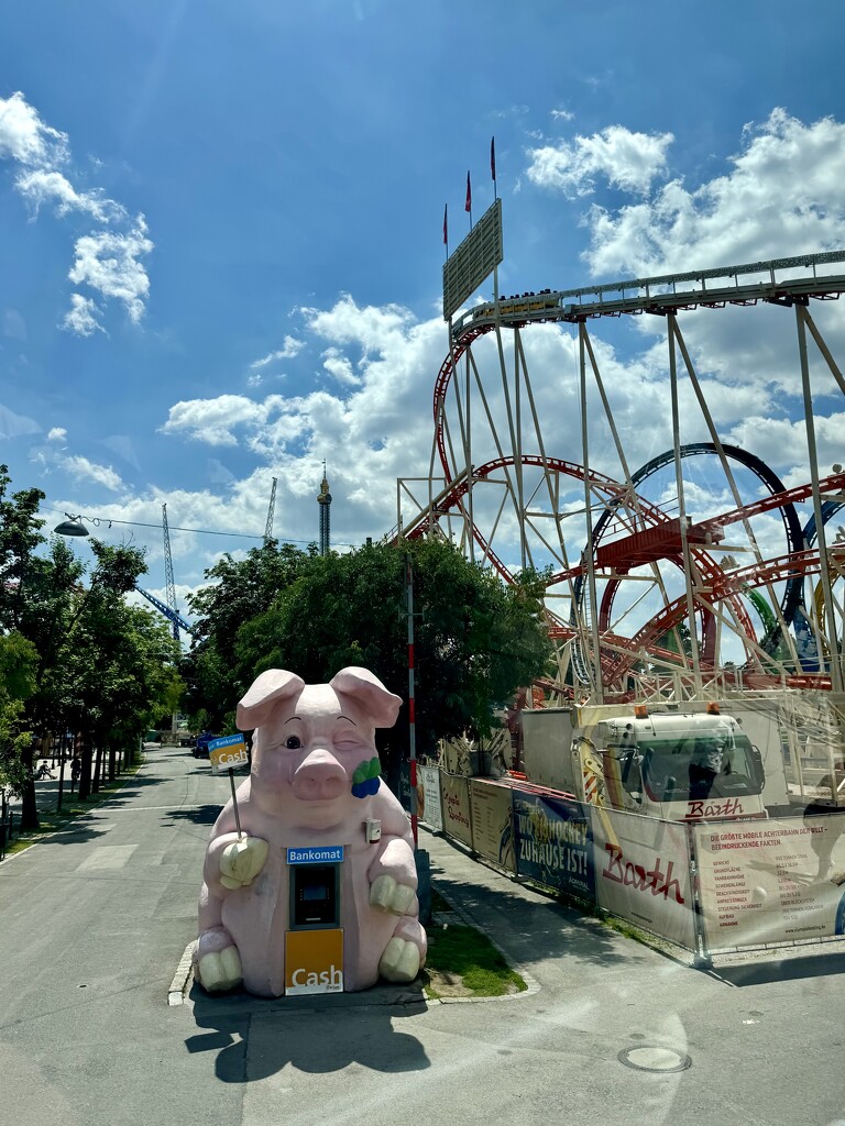 Big pig.  by cocobella