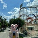 Big pig. 