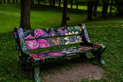 1st Jul 2025 - Park Bench 