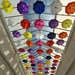 Parasols Today, Paraplouis Tomorrow 