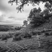 Kilmacolm 