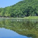 Morning calm