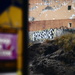 Graffiti 