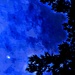 Morning Star