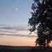 Evening lights......