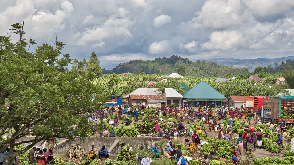 Market Day P7019152 by merrelyn