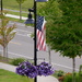 Summer Street Decorations